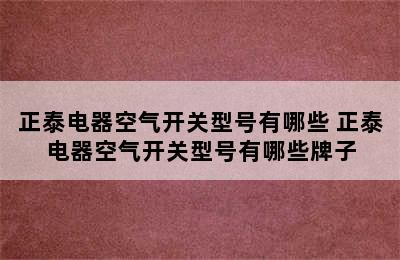 正泰电器空气开关型号有哪些 正泰电器空气开关型号有哪些牌子